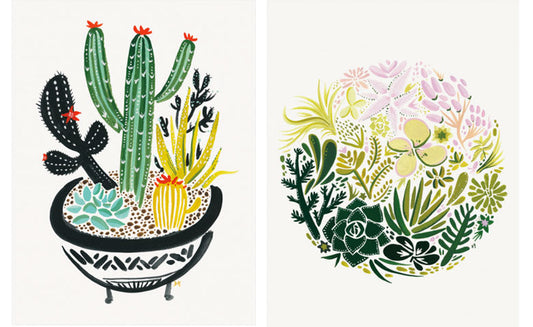 Succulents for Your Walls