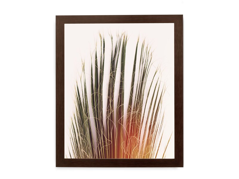 Simply Framed Gallery Frame Wide Dark Walnut featuring artwork by Hamish Robertson