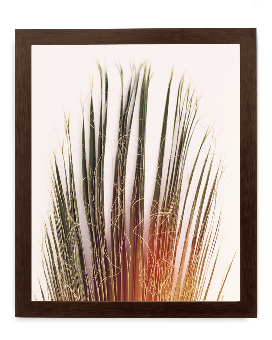 Simply Framed Gallery Frame Wide Dark Walnut featuring artwork by Hamish Robertson