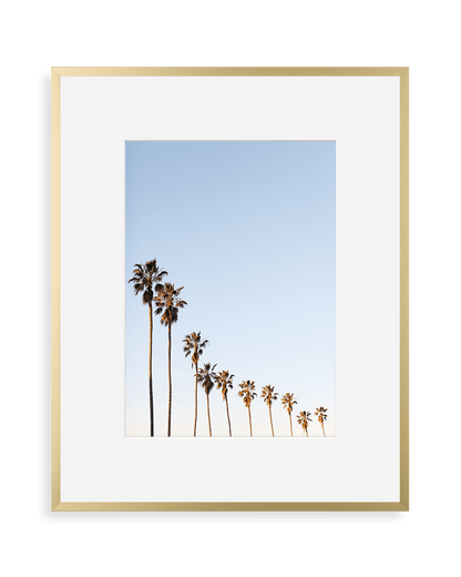 simply framed metal gallery frame matte gold with art by Max Wanger Print Shop