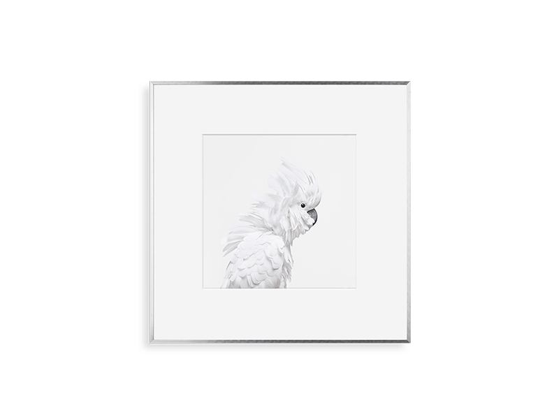 simply framed metal new school frame in silver blackout with artwork by kingdom by randal ford