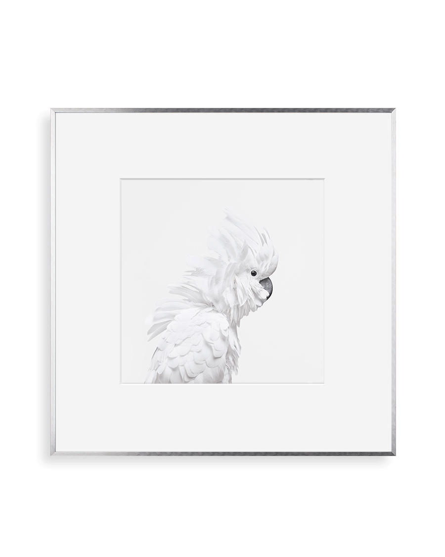 simply framed metal new school frame in silver blackout with artwork by kingdom by randal ford