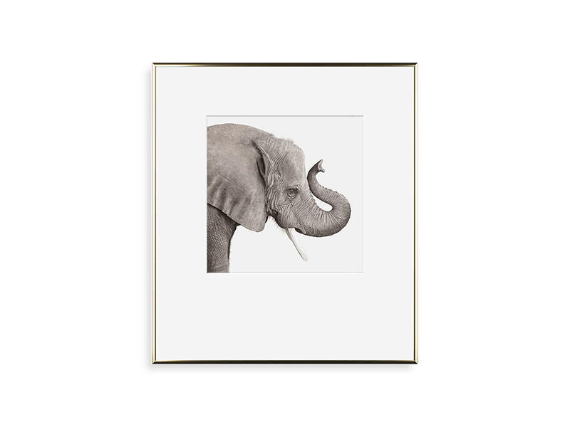 simply framed old school metal frame in bright gold featuring artwork by kingdom by randal ford