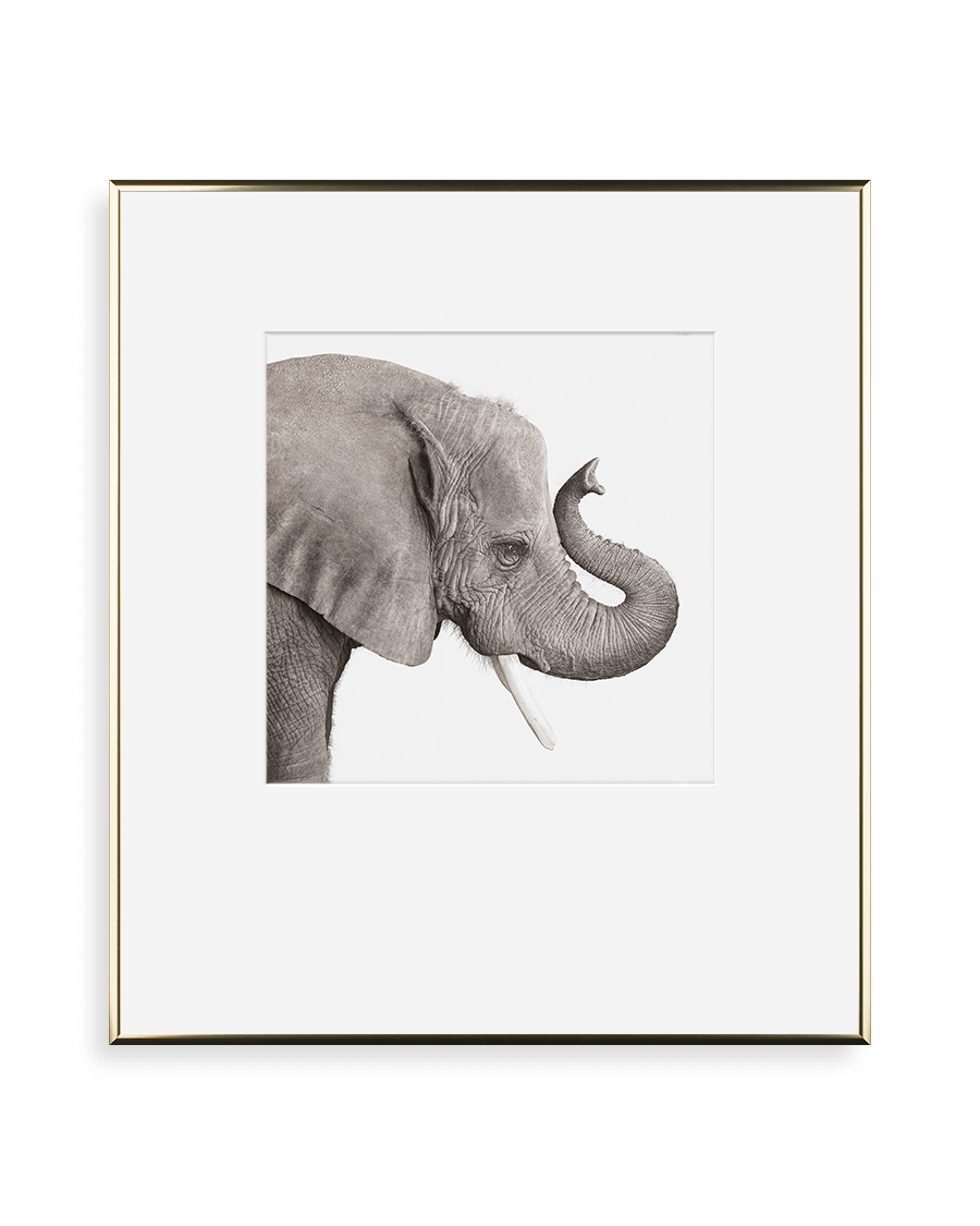 simply framed old school metal frame in bright gold featuring artwork by kingdom by randal ford