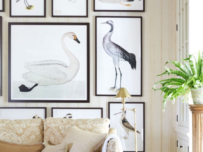 Simply Framed Gallery Frame Wide Dark Walnut featuring artwork by Ornis Gallery in a living room