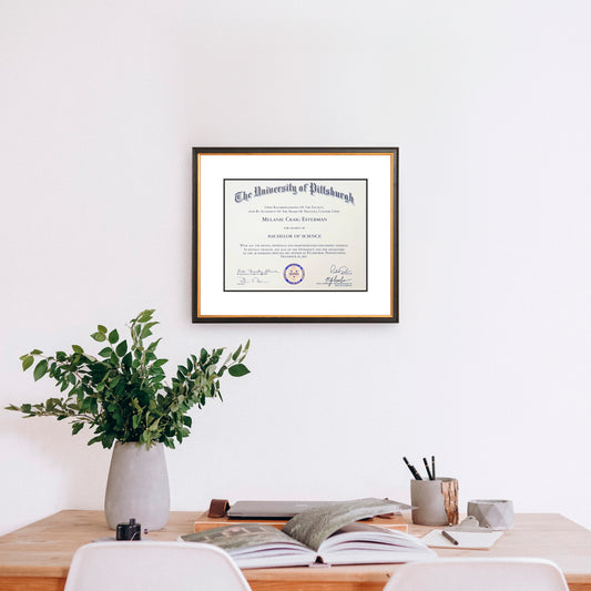 The Framed Diploma