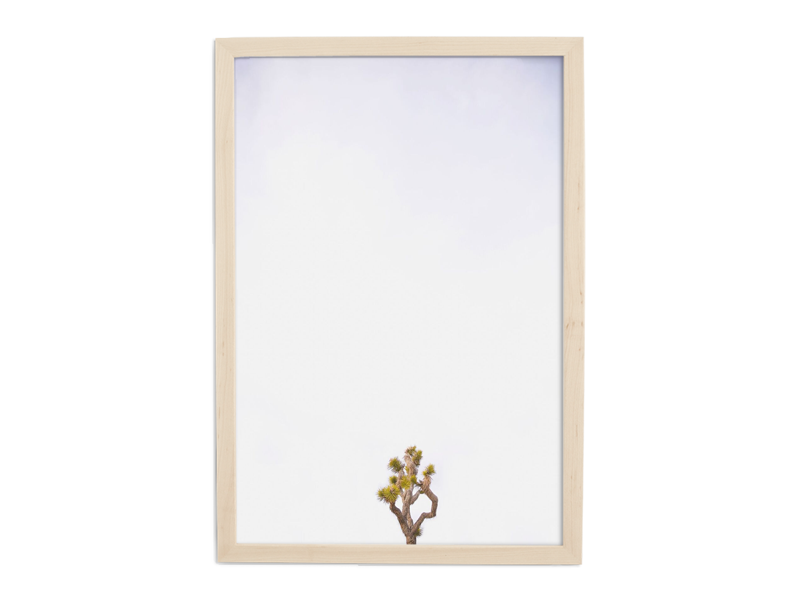 Simply Framed Natural Gallery Frame Deep featuring artwork by Max Wanger Print Shop